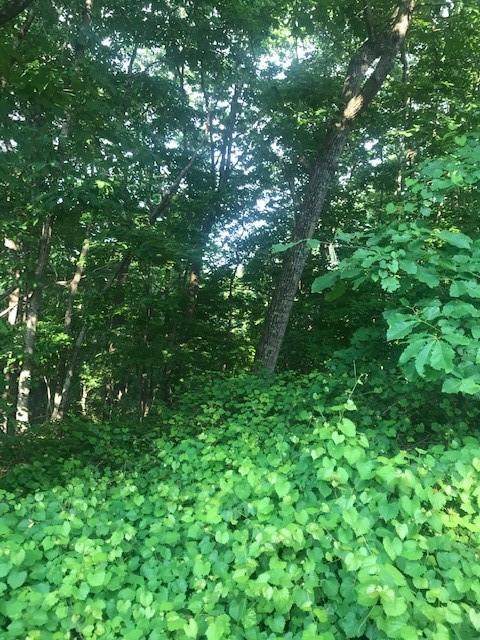 00 Cheyenne Drive - Photo 1