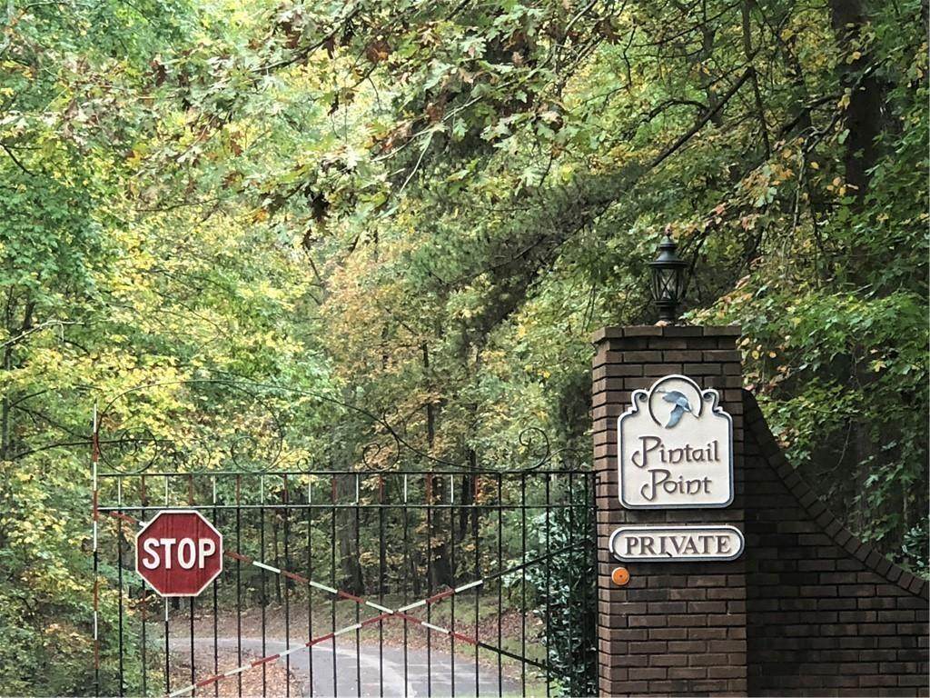 1000 Pintail Road - Photo 1
