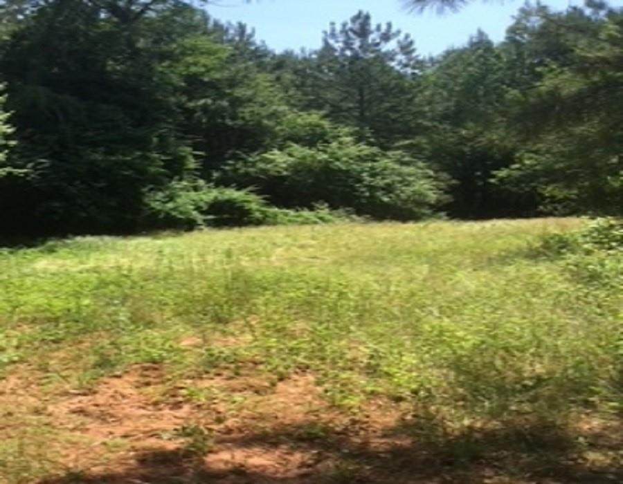 00 Griffin Mill Road - Photo 1