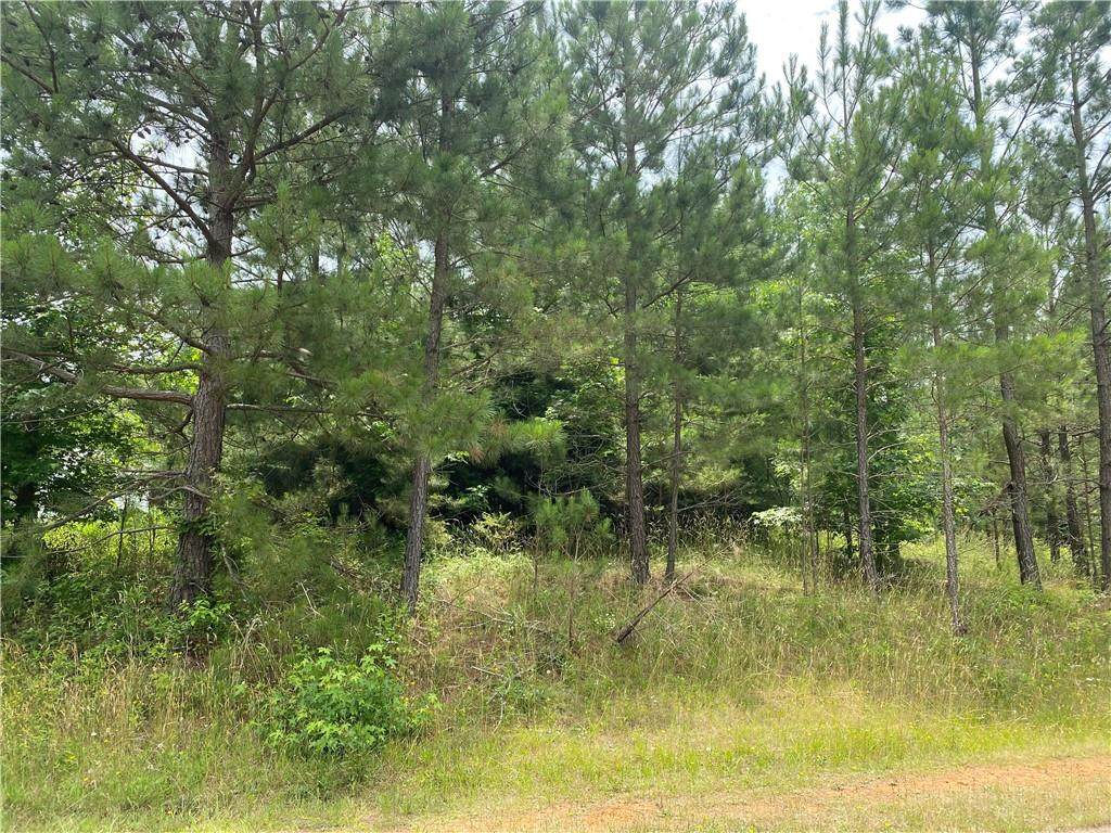 Lot 29 Bay Ridge Drive - Photo 1