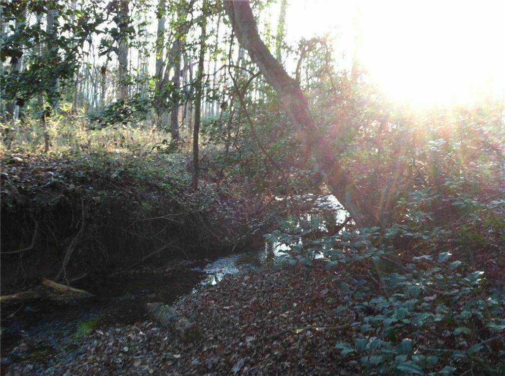 0 Howard Mcgee Road - Photo 1