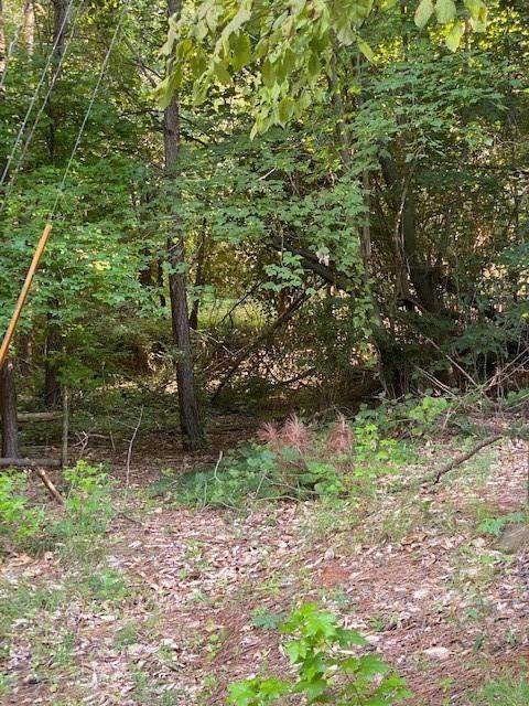 402 Edgewater Drive - Photo 1