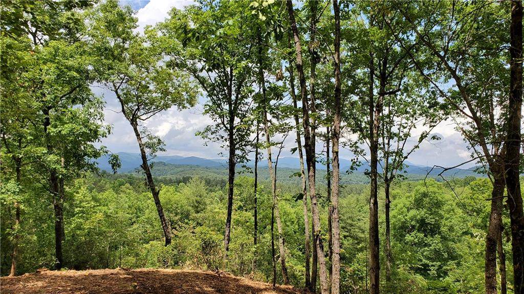 0 Keowee Turtle Head Road - Photo 1