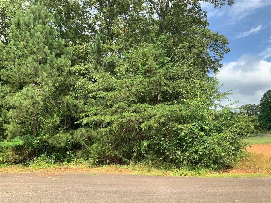 105 Kokomo/Melia Lane Way - Photo 1