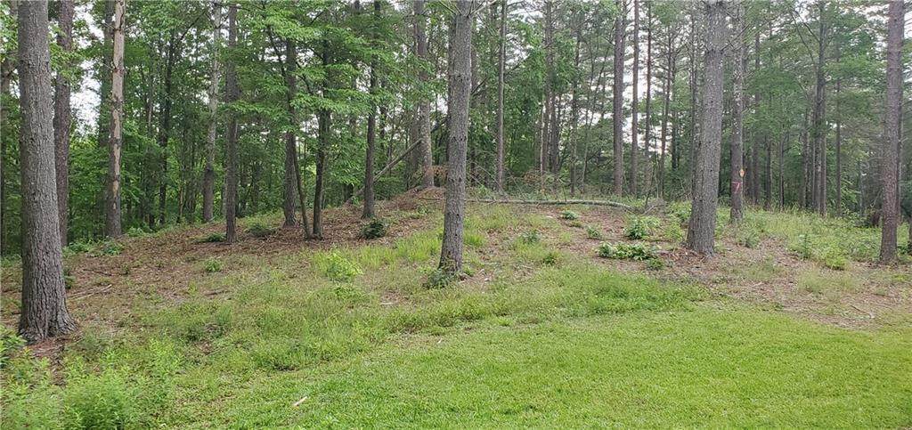Lot 22 Vineyard Park - Photo 1
