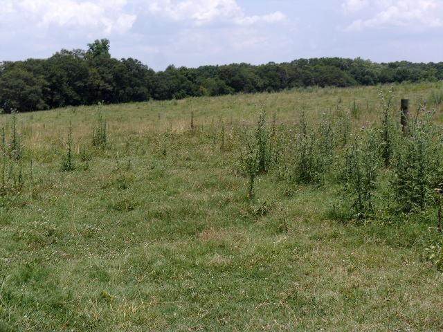 00 Highway 29 Highway - Photo 1