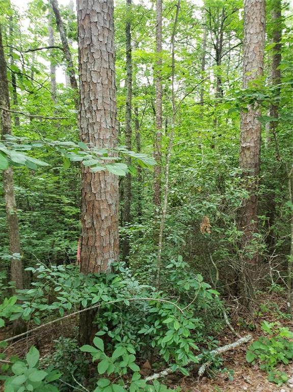 100 Mountain Top Drive - Photo 1