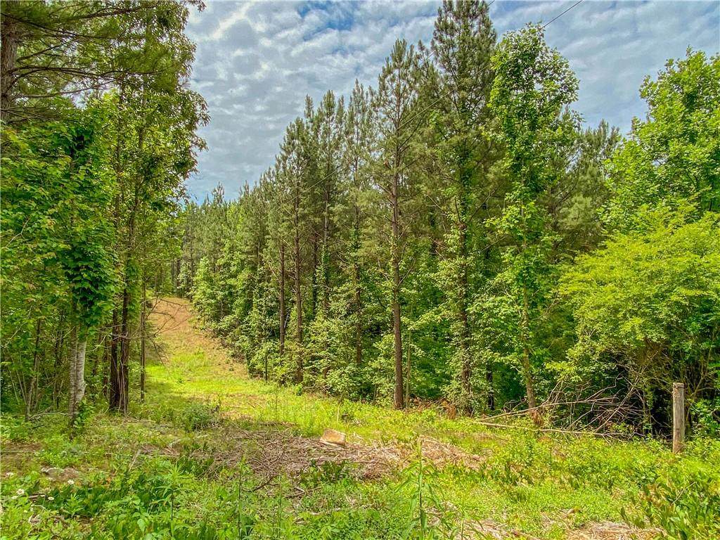 00 Todd Bridge Road - Photo 1