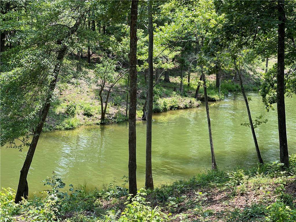 000 Waterside Pointe - Photo 1