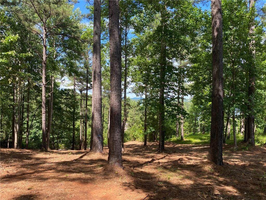 Lot 63 Hearthstone Way - Photo 1