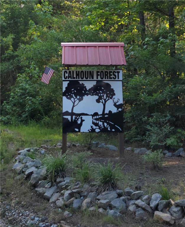 .95 acre Lot 15 Lake Forest Drive - Photo 1