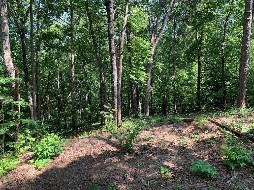 4 Beacon Ridge Circle - Photo 1