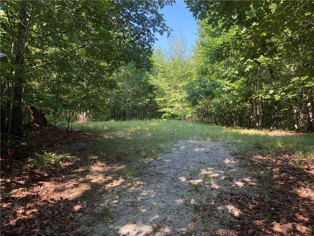 125 Red Bear Ridge - Photo 1
