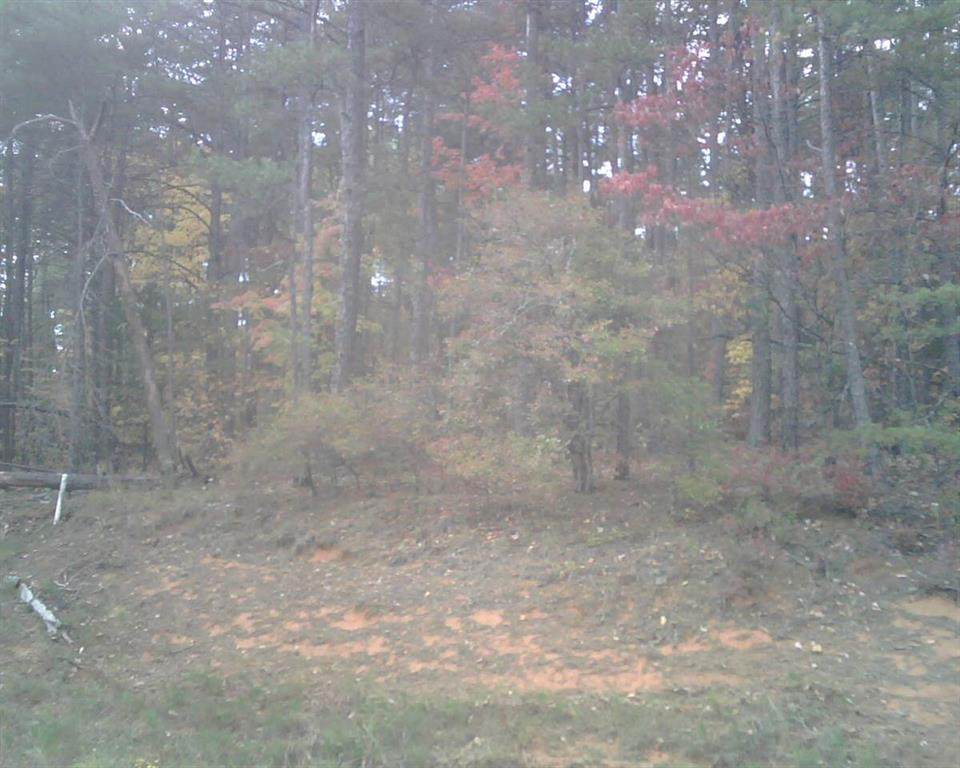 418 Holden Drive - Photo 1