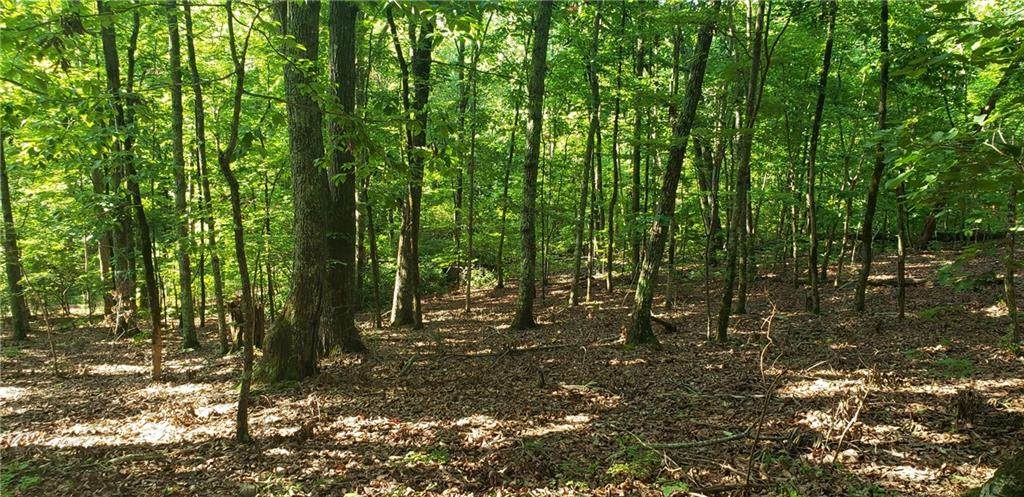 Lot 5 Beulah Land Way - Photo 1