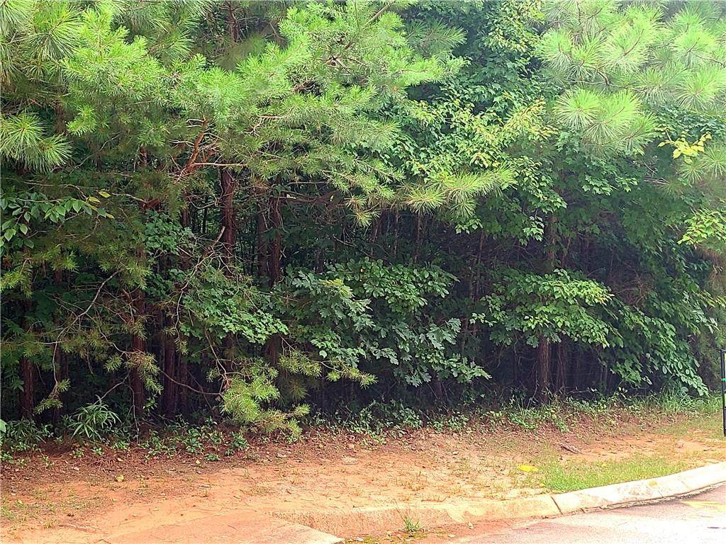 701 Montague Drive - Photo 1