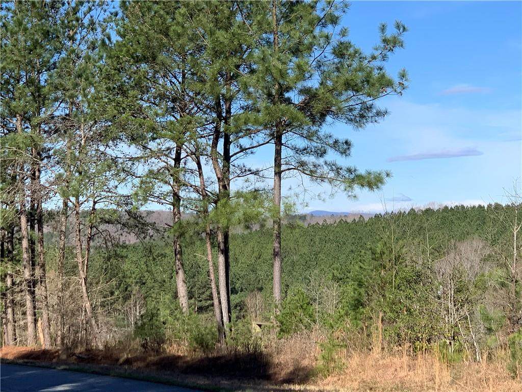 000 Jenkins Bridge Road - Photo 1