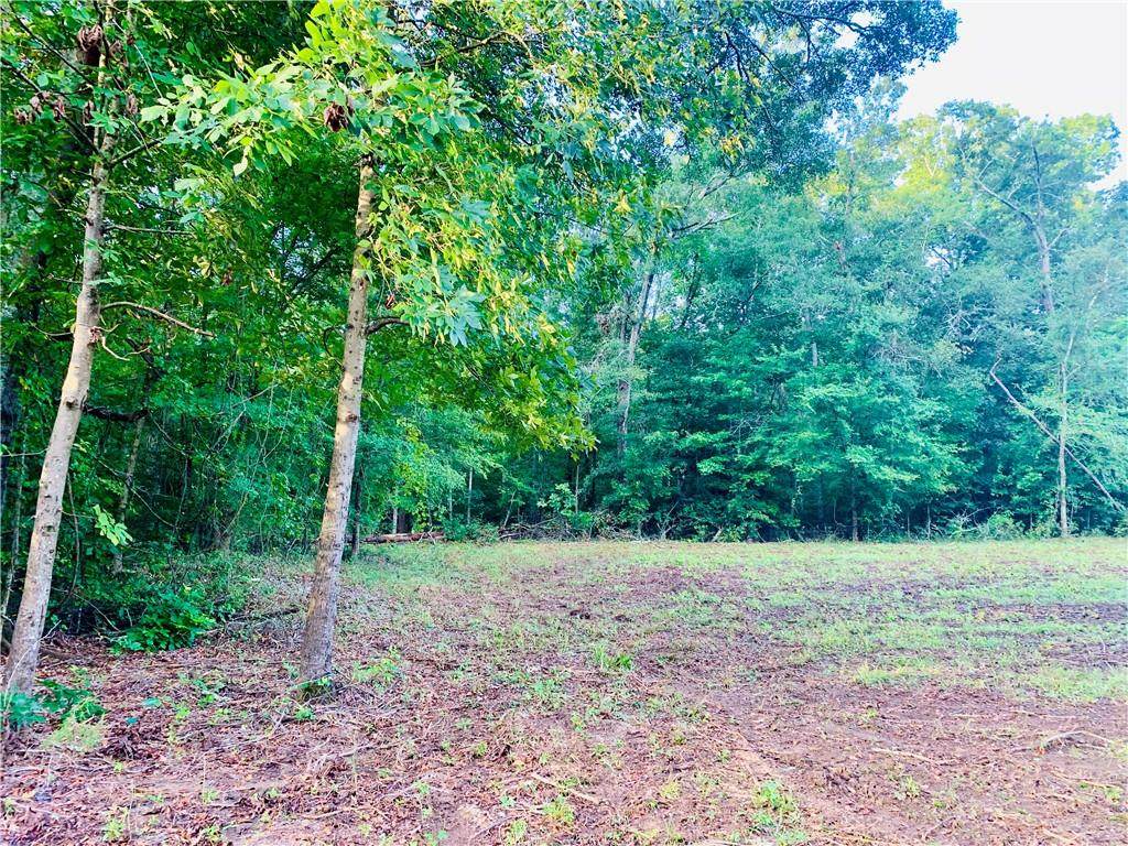 0 Lake Secession Road - Photo 1
