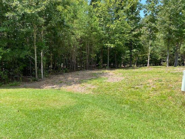 Lot 52 Iris Court - Photo 1
