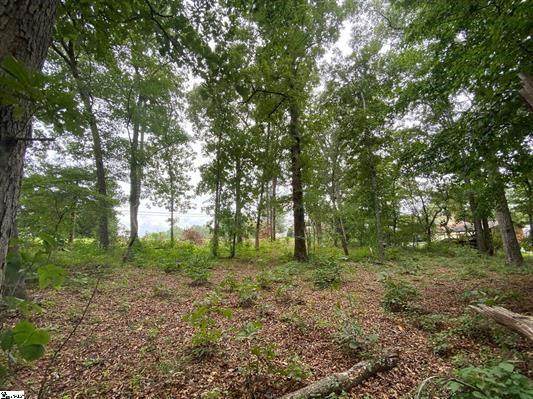 1733 Belle Shoals Road - Photo 1