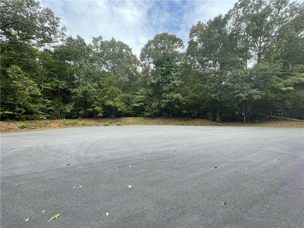 60 Lake Russell Lane - Photo 1