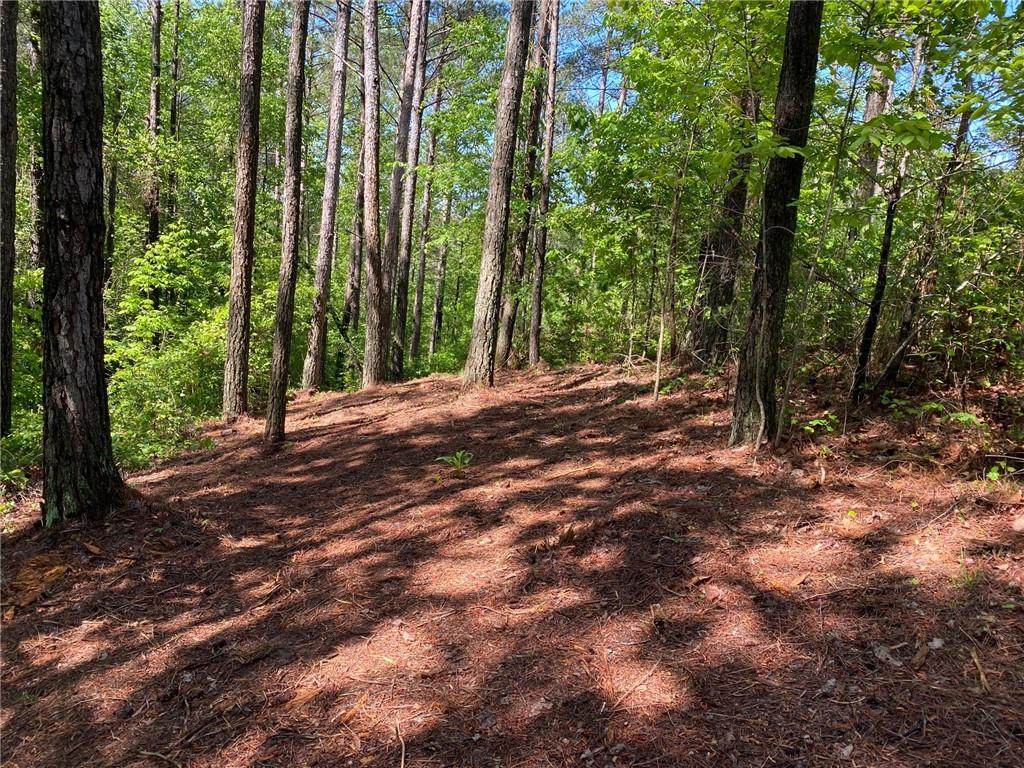 E-18 Muirfield Court - Photo 1
