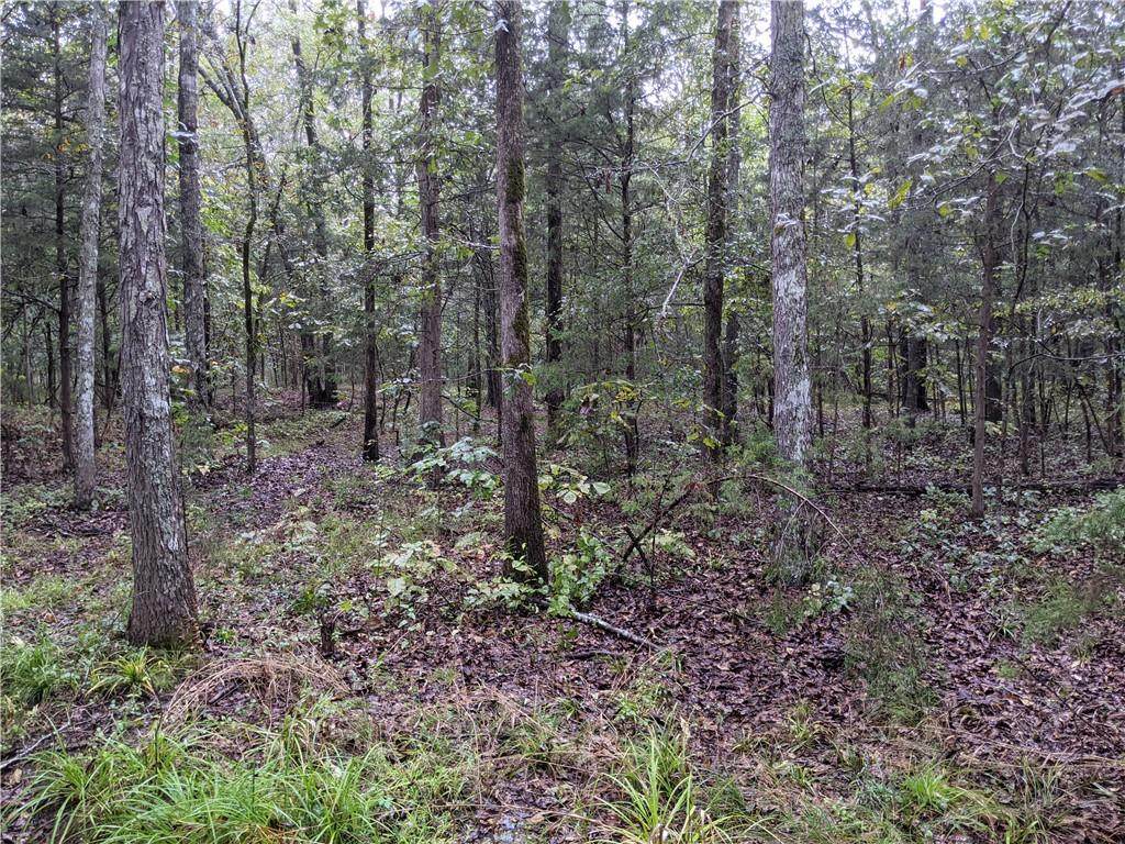 00 Deacon Road - Photo 1