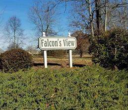 lot 19 Falcons View Drive - Photo 1