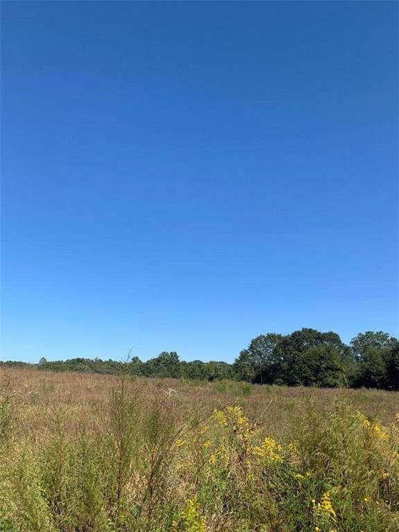 2957 Walhalla Highway - Photo 1