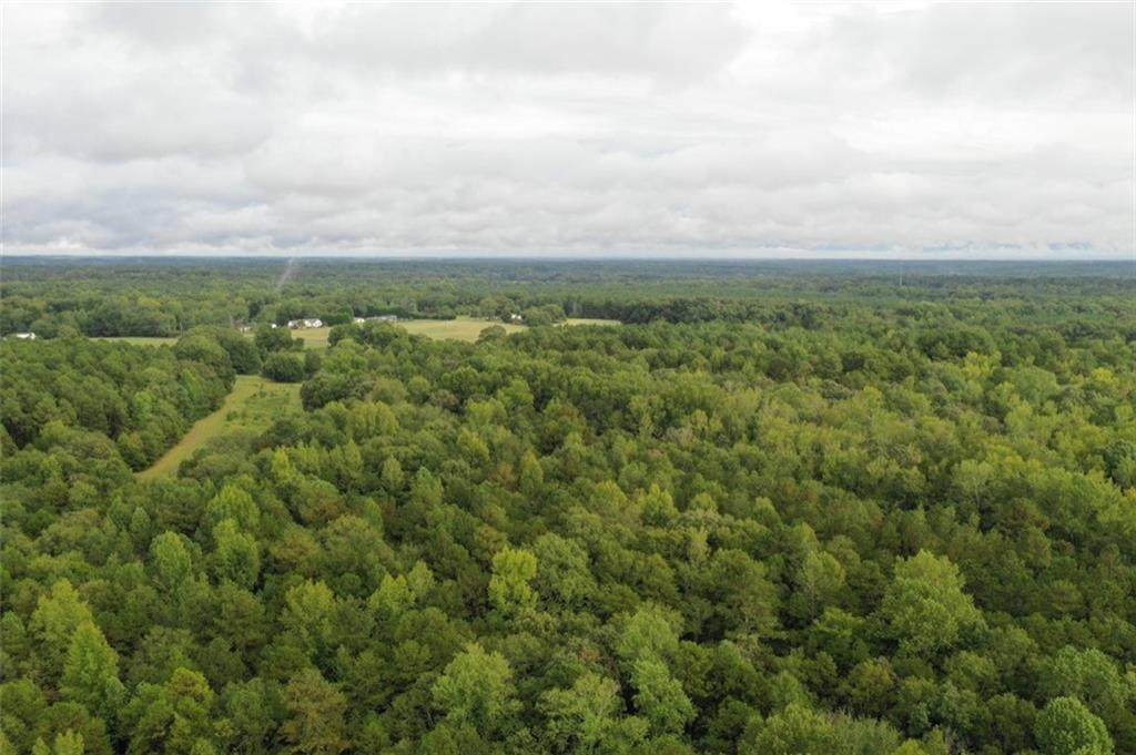 2311 Hamby Road - Photo 1