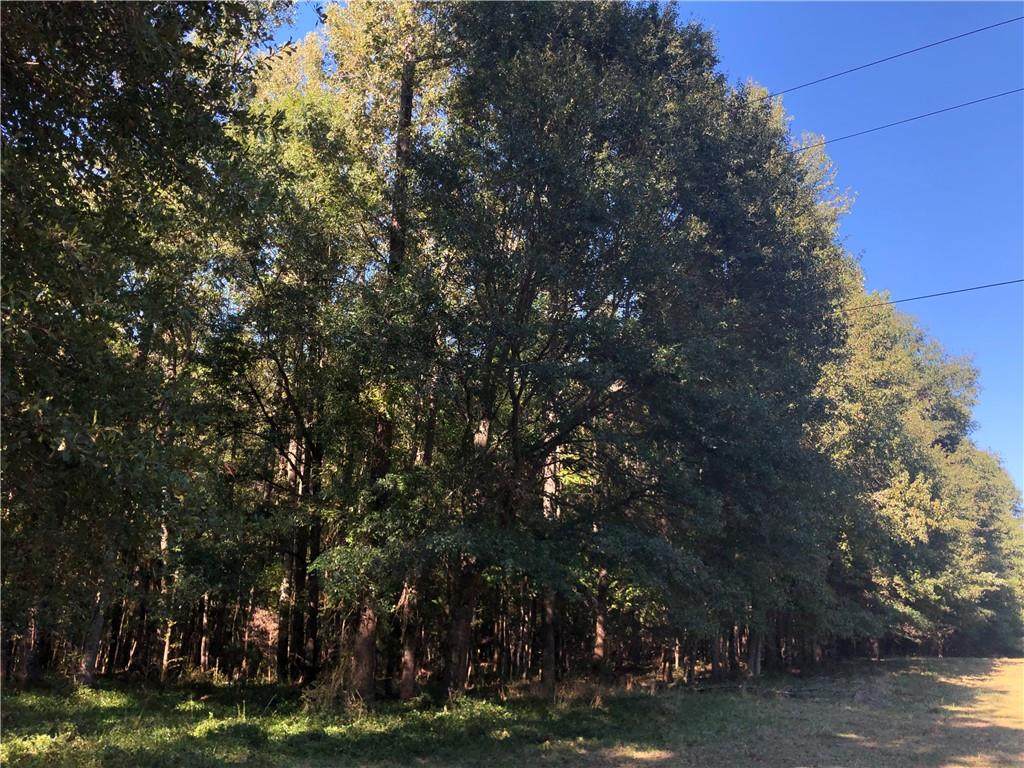 Tract 2 Griffin Road - Photo 1