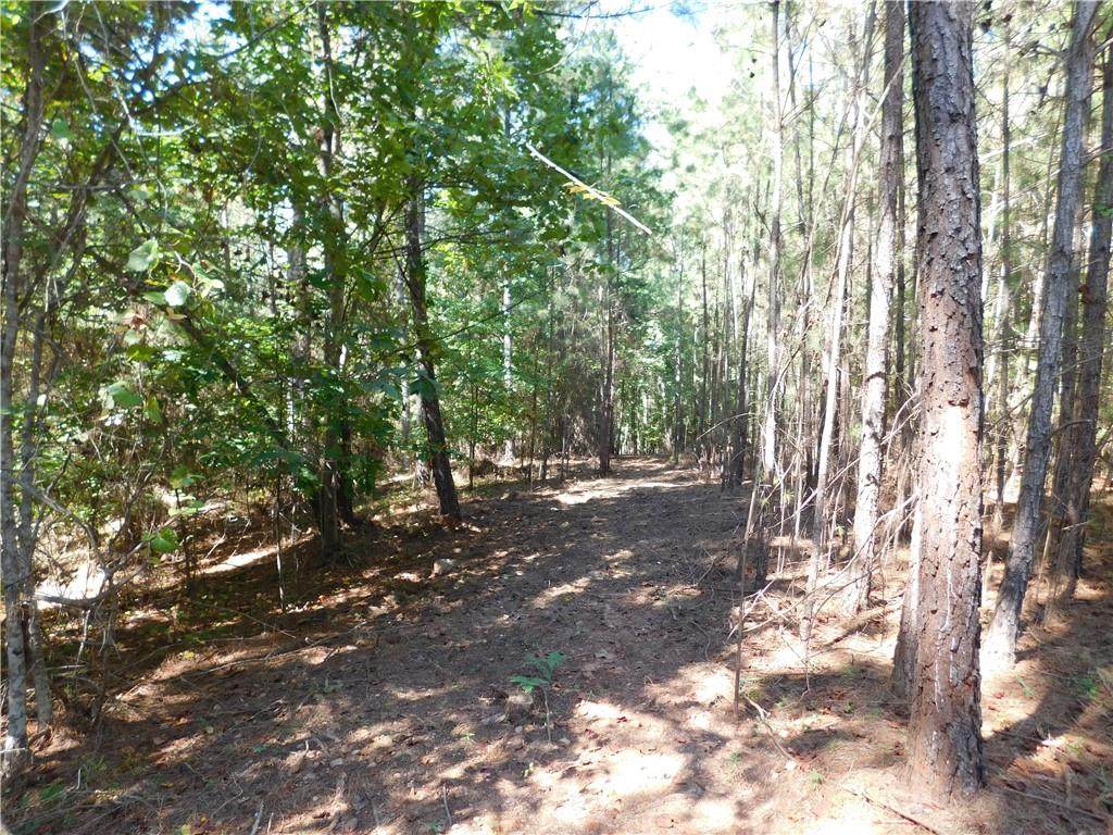 Lot 9 Bentwood Way - Photo 1