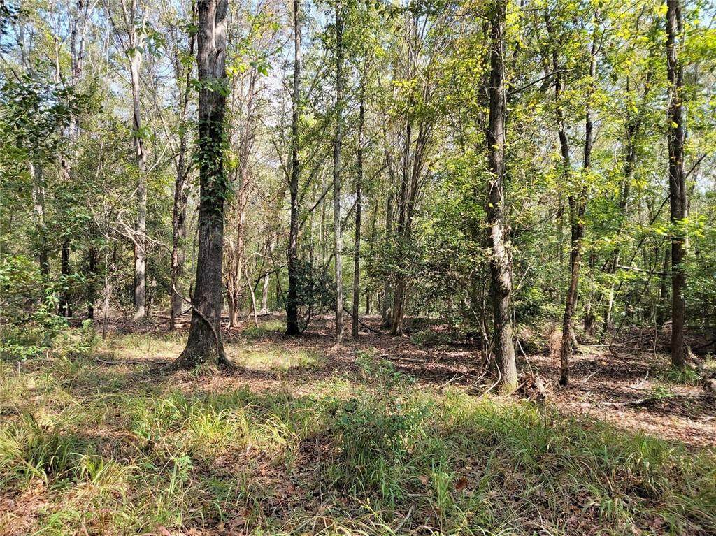 4.12 acres Robertson Road - Photo 1