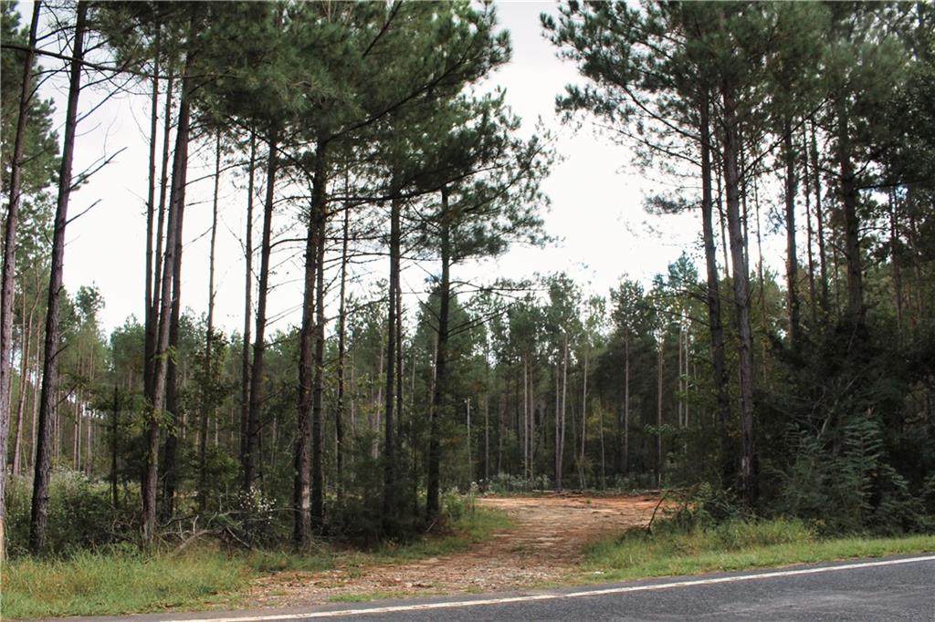 01B Flat Rock Road - Photo 1