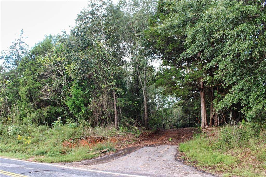 000 Flat Rock Road - Photo 1
