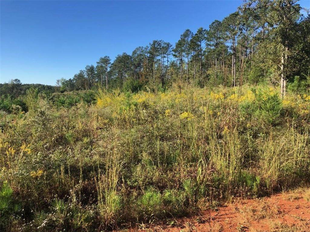 135 Latimer Boat Ramp Road - Photo 1