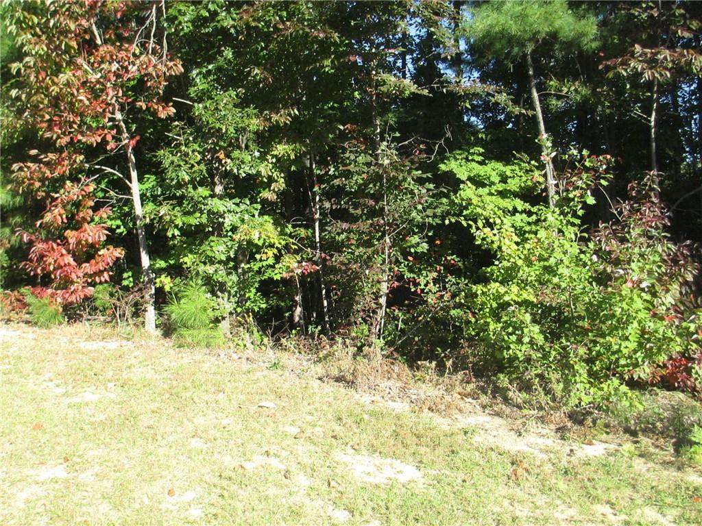 244 Jocassee Ridge Way - Photo 1