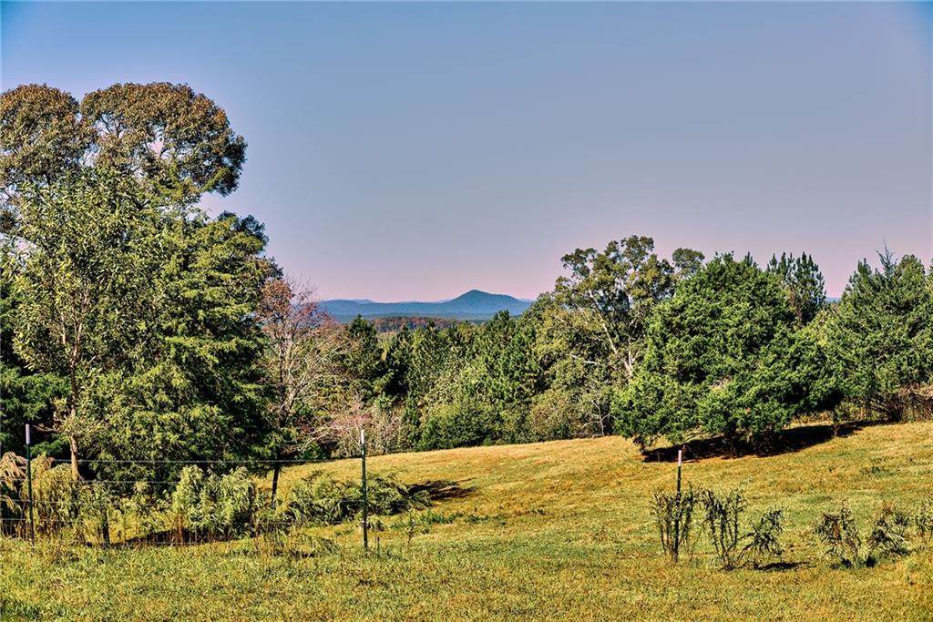 185 Carver Road - Photo 1