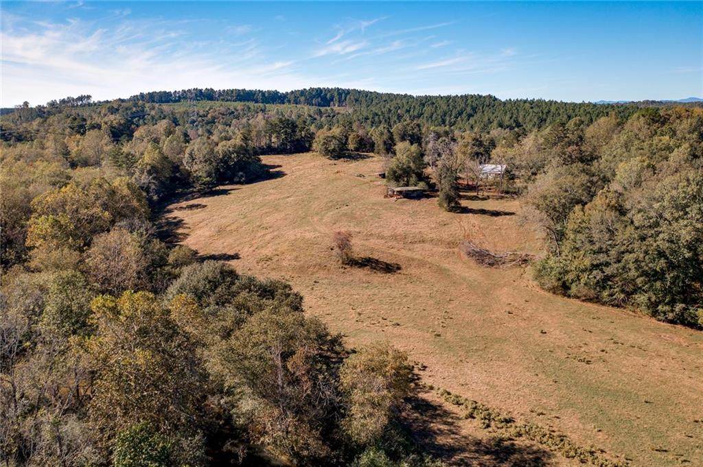 551 Horseshoe Bridge Road - Photo 1