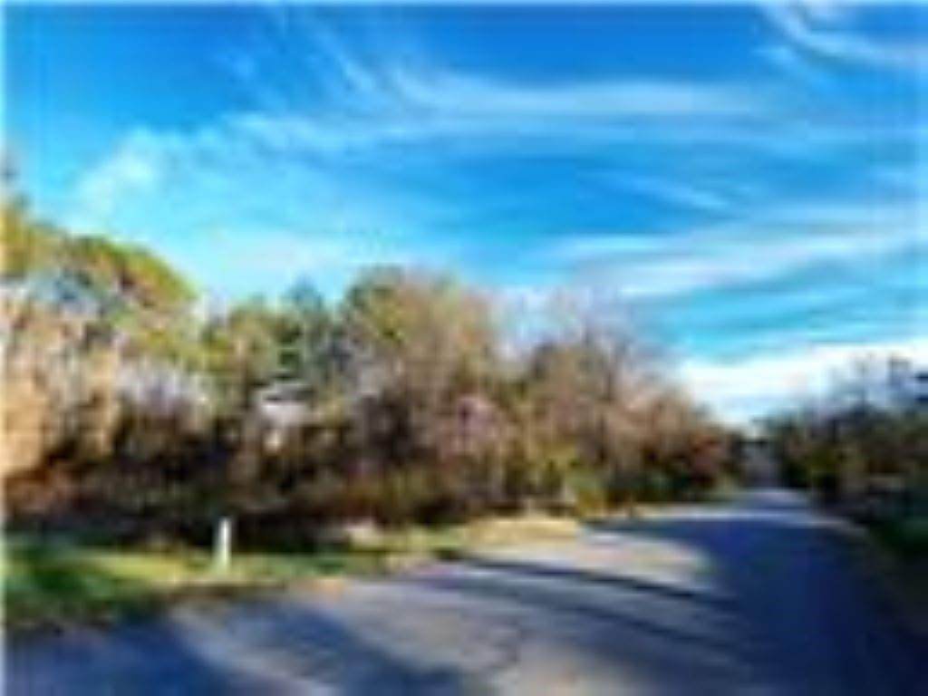 205 lots 10-12 Hazelwood Avenue - Photo 1