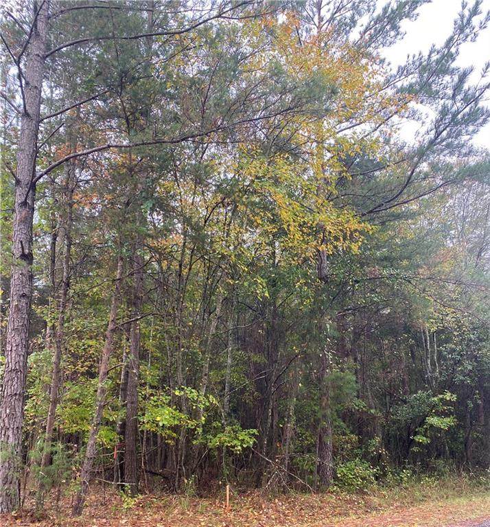 116 Hickory Forest Drive - Photo 1
