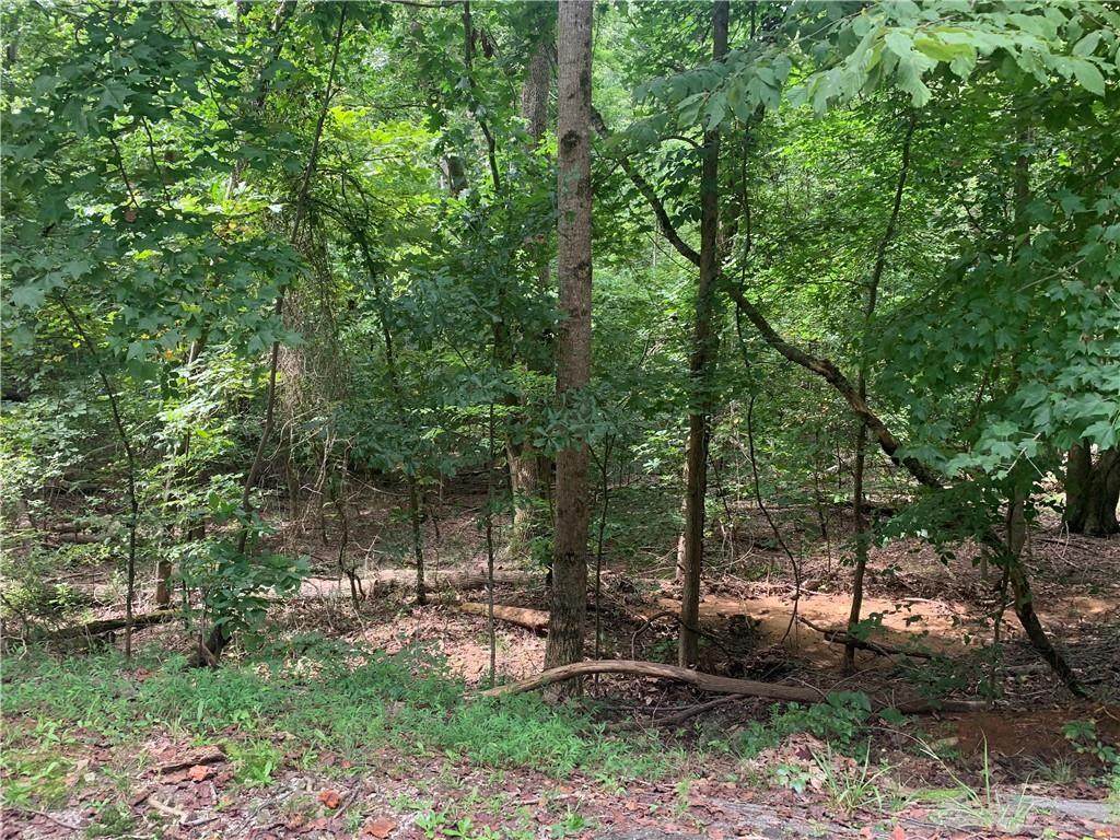 Lot 1783 Manitowoc Drive - Photo 1