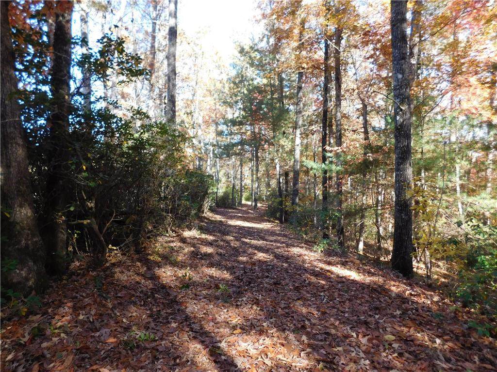 130 Cliffs Falls Parkway - Photo 1