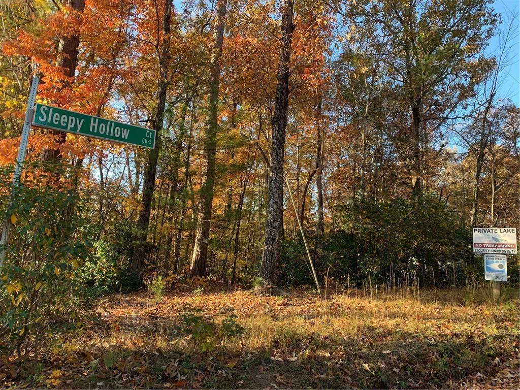 501 Sleepy Hollow Court - Photo 1