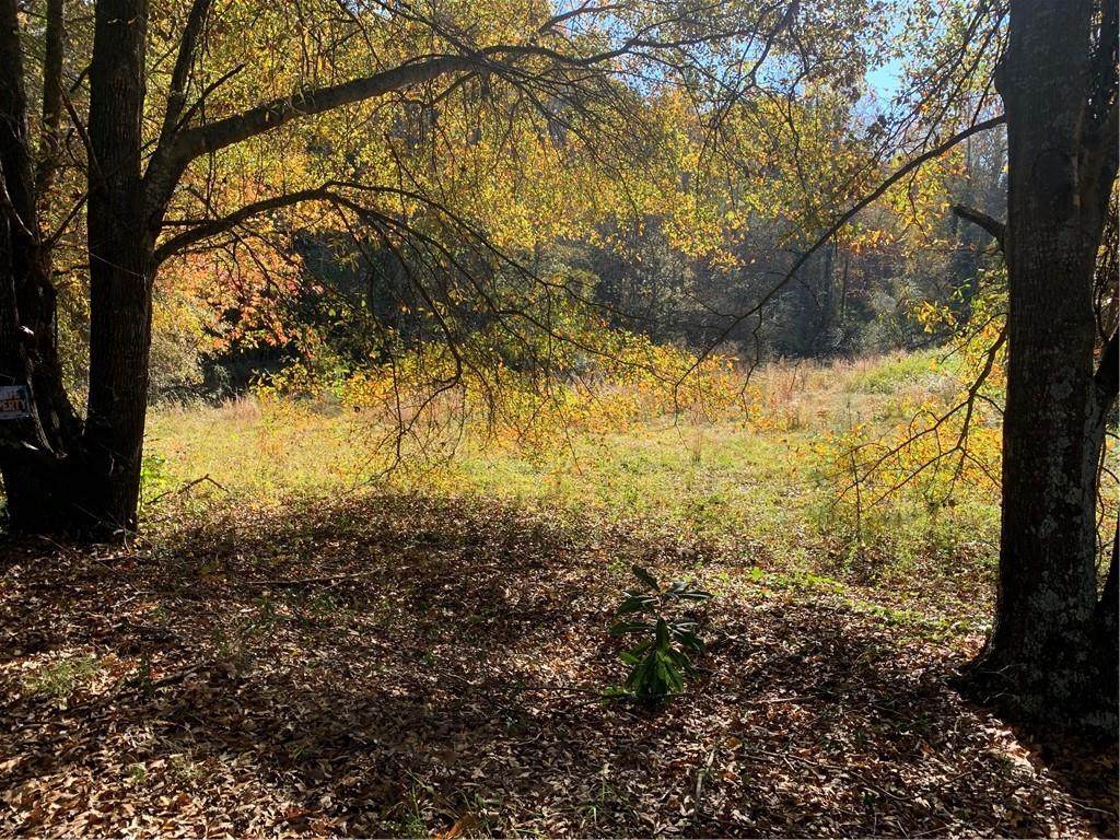 00 Williams Avenue - Photo 1
