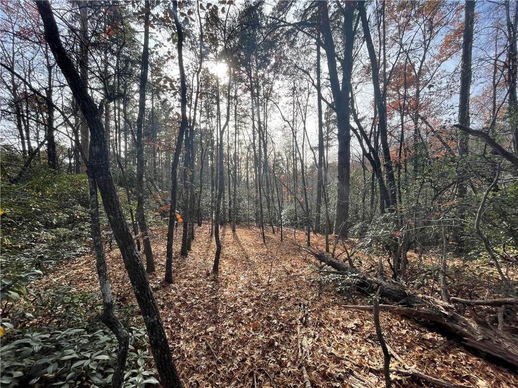 00 Pine Mountain Road - Photo 1