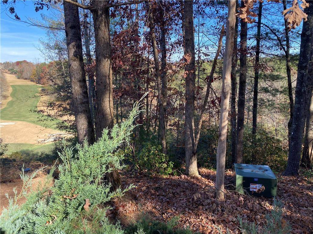 120 Course View Way - Photo 1
