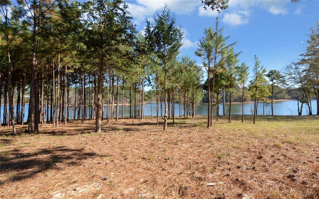 0 Rigby Lot 5 Road - Photo 1