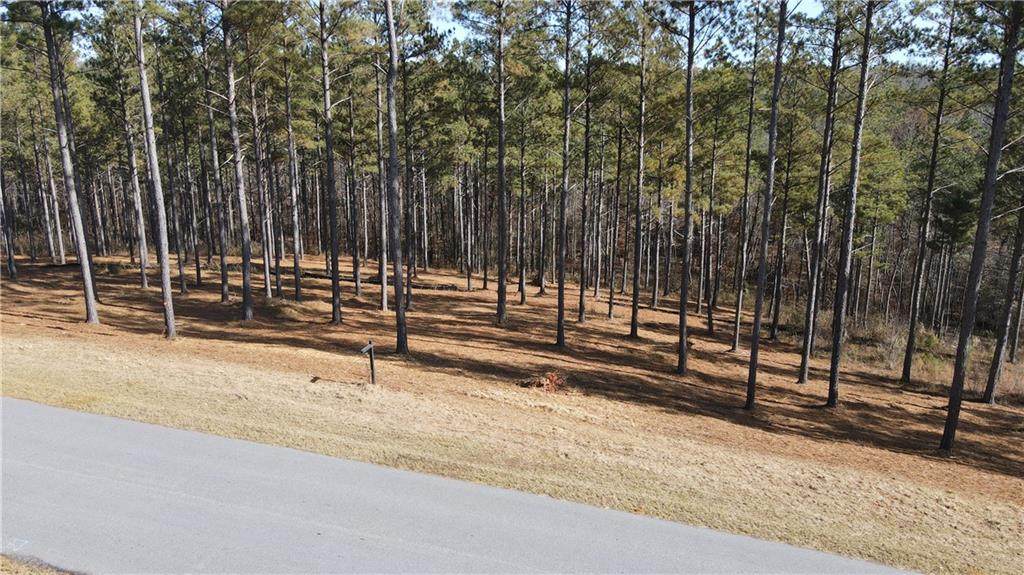 108 Coveside Lane - Photo 1