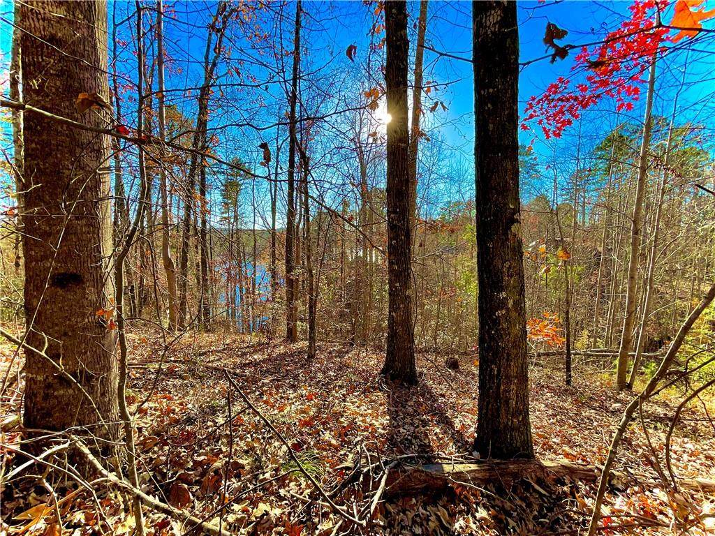 Lot 74 & 75 Admiral Lane - Photo 1